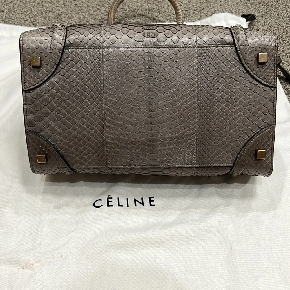 Celine Bag, Size Medium, Python Skin - Picture 7 of 13